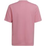 adidas Entrada 22 Graphic Jersey Jr HC2632 – Obrázok 13