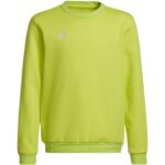 Adidas Entrada 22 Sweat Top Jr HC5043 sweatshirt