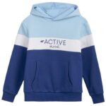 Sweatshirt 4F Jr HJL22 JBLD002 33S