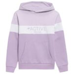 Sweatshirt 4F Jr HJL22 JBLD002 51S