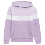 Sweatshirt 4F Jr HJL22 JBLD002 51S – Obrázok 3