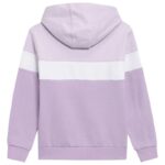 Sweatshirt 4F Jr HJL22 JBLD002 51S – Obrázok 4