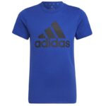 adidas Big Logo Tee Jr HP0840 – Obrázok 6