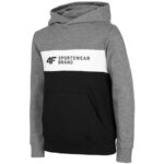 Sweatshirt 4F Jr HJZ22 JBLM003 24M