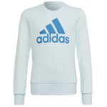 Adidas Big Logo Swt Jr HM8707 sweatshirt
