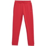 Pants 4F Jr HJZ22 JSPDD002 62S – Obrázok 11