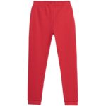 Pants 4F Jr HJZ22 JSPDD002 62S – Obrázok 7