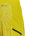 adidas Condivo 22 M HF0141 Goalkeeper Shorts – Obrázok 4