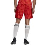adidas Condivo 22 M H18814 goalkeeper shorts – Obrázok 2