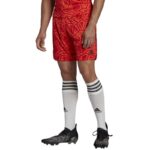 adidas Condivo 22 M H18814 goalkeeper shorts – Obrázok 3