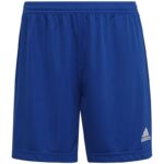 adidas Entrada 22 W Shorts HH9998