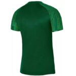 Nike Academy Jr T-shirt DH8369 302 – Obrázok 4