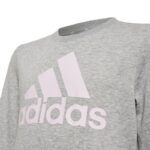 Adidas Big Logo Swt Jr HM8706 sweatshirt – Obrázok 8