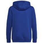 Adidas Big Logo Essentials Hoody Jr HN1912 sweatshirt – Obrázok 2