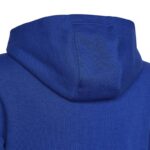 Adidas Big Logo Essentials Hoody Jr HN1912 sweatshirt – Obrázok 3