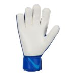 Nike Goalkeeper Match CQ7799-445 Goalkeeper Gloves – Obrázok 2