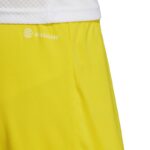 adidas Entrada 22 M IC7404 shorts – Obrázok 4