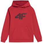 4F Jr sweatshirt 4FJSS23TSWSM220 62S – Obrázok 10